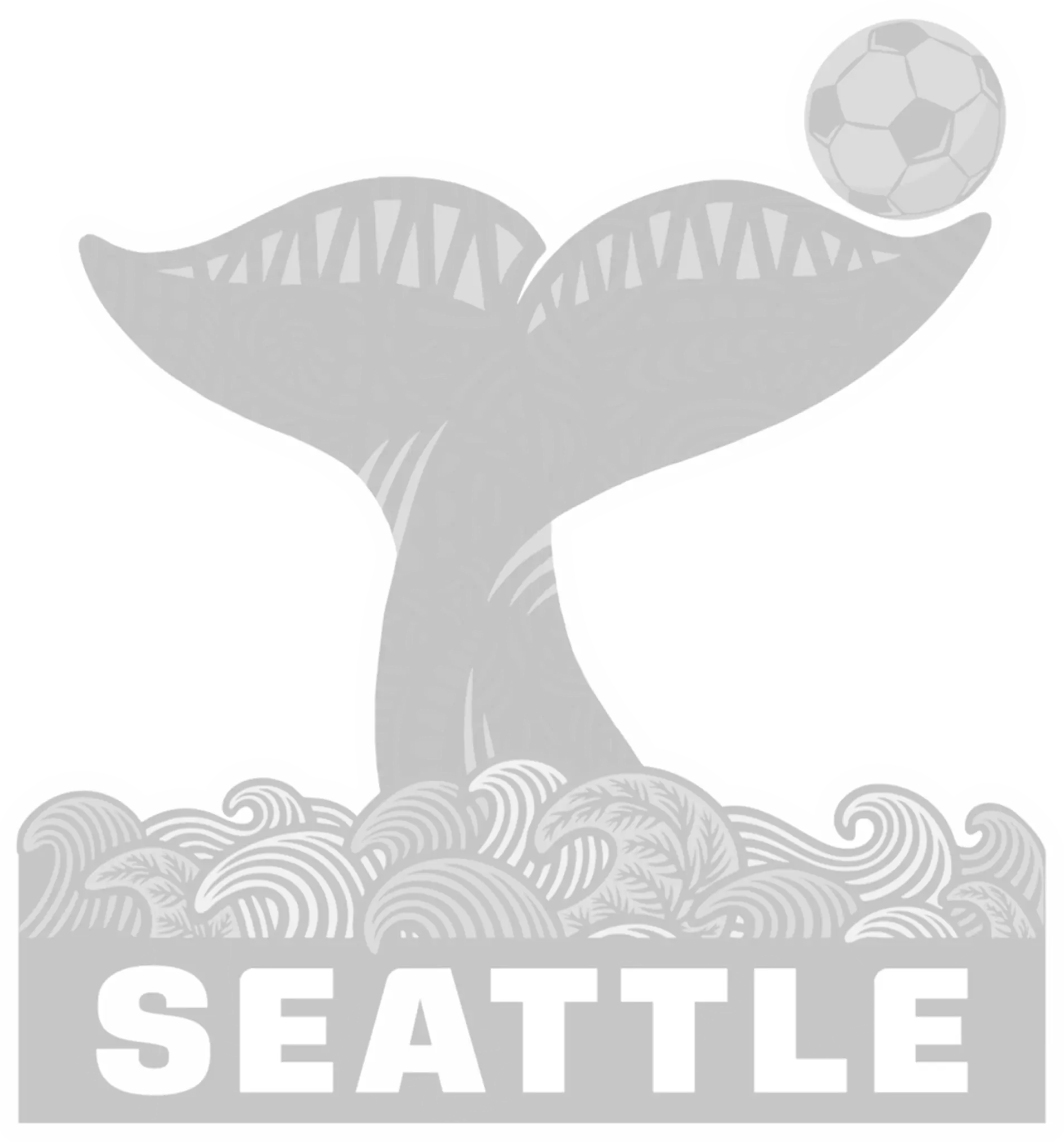 Seatle-fan-park